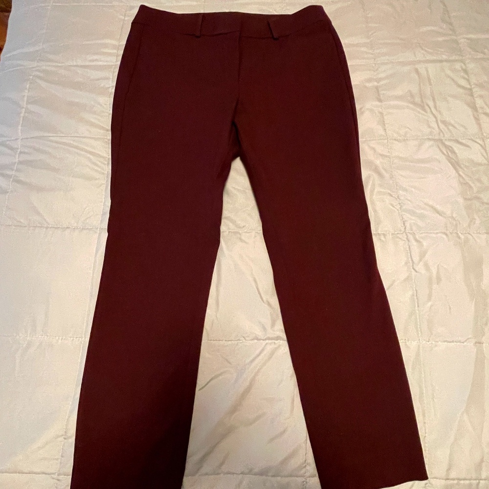 Loft Bright Maroon Skinny Pants Size 10P